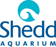 Shedd Aquarium